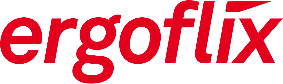 Logotipo de ergoflix